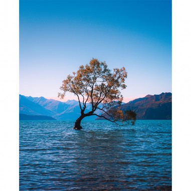 Πίνακας σε καμβά  Tree in the middle of the sea